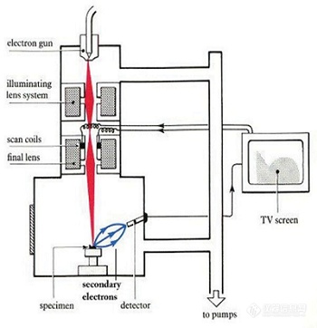 电镜核心部件专题从瓦里安到安捷伦面向电镜的真空技术(图2)