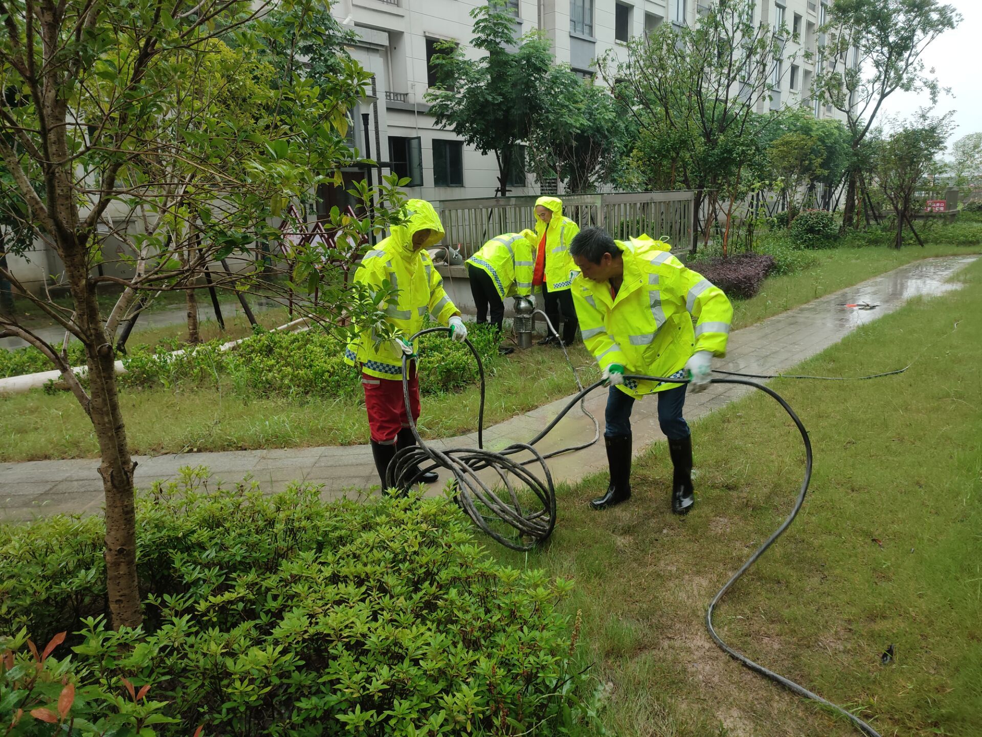 蚌埠城管市政抢险队奋战在黄山市抗灾抢险一线(图1)