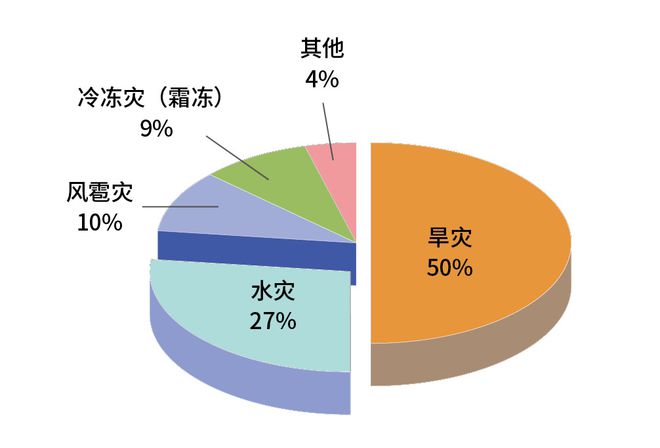 “靠天吃饭”有高招儿(图3)