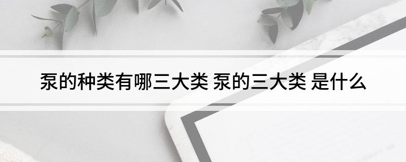 泵的种类有哪三大类泵的三大类是什么(图1)